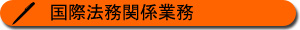 国際法務関係業務